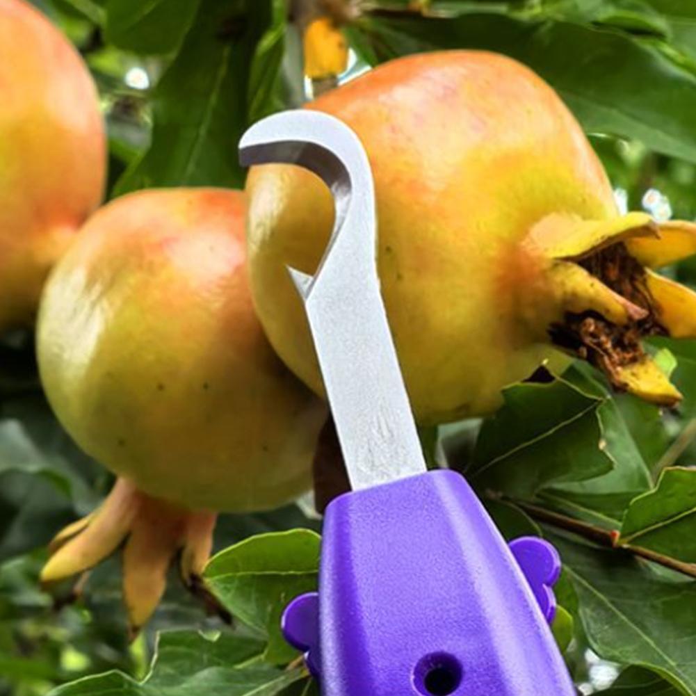 Gardening Tools Cutter - أداة يدوية لقطف التوت، مقص حصاد