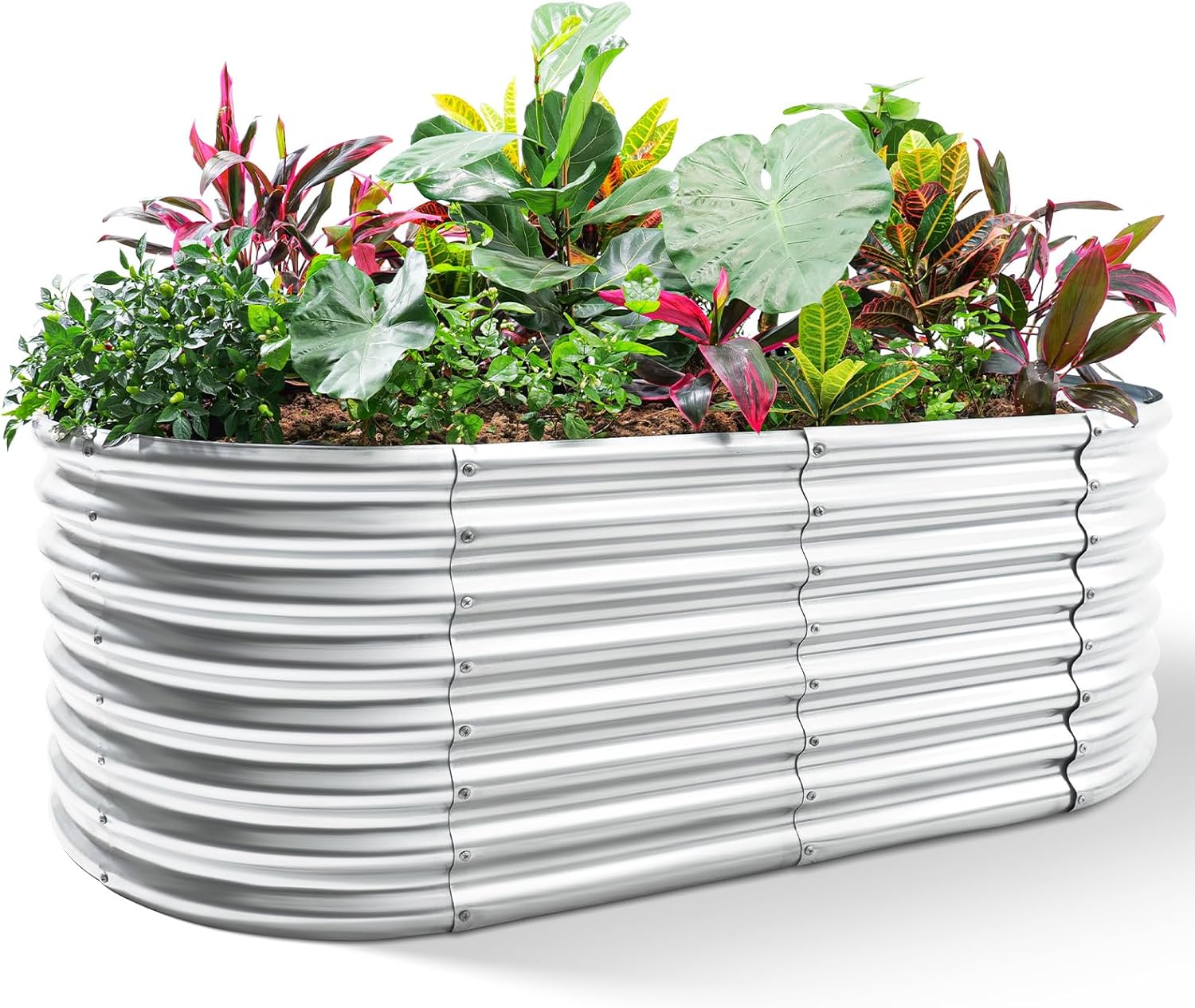 Raised Bed Planter Box - حوض زراعة مرتفع مجلفن، صناديق زراعة