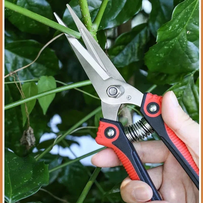 مقص تقليم من الفولاذ المقاوم ل - مراجعة Gardening Tools Sharp وسعره
