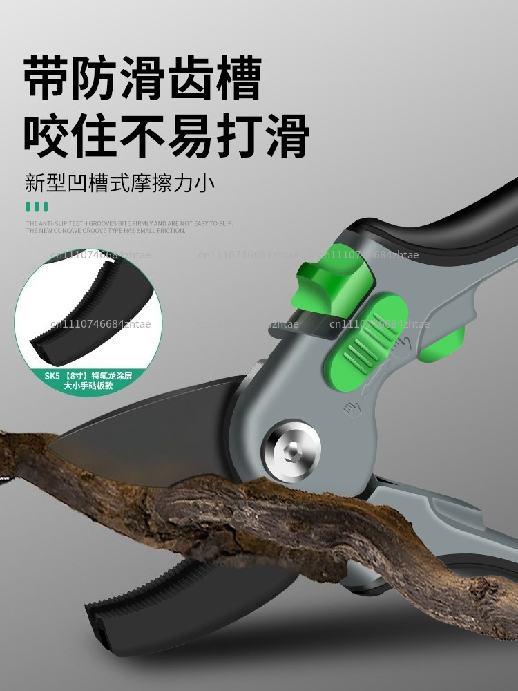مقص تقليم الأغصان المحمول للحد - مراجعة Gardening Tools Scissors وسعره