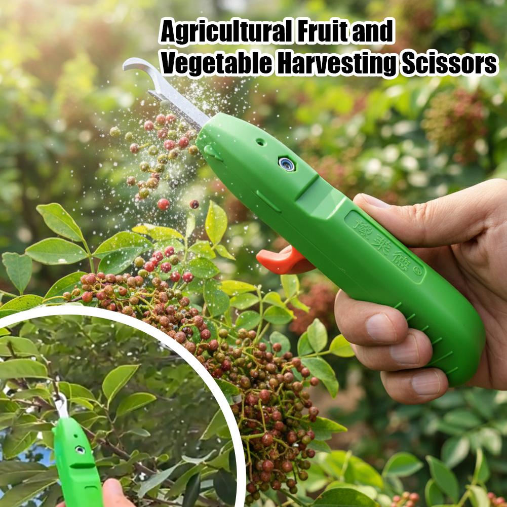 مقصات قطف الفاكهة والخضروات، م - مراجعة Gardening Tools Scissors وسعره