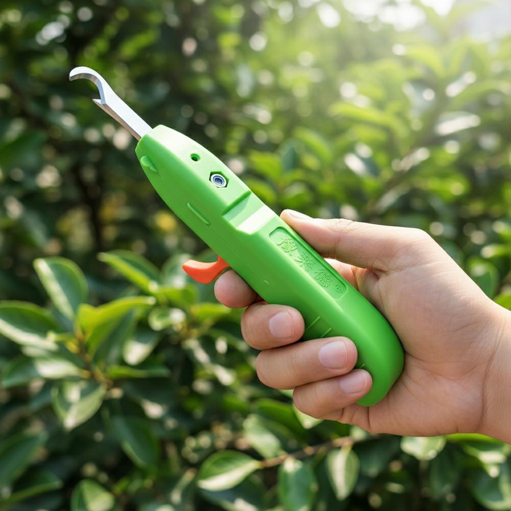 مقصات قطف الفاكهة والخضروات، م - مراجعة Gardening Tools Scissors وسعره