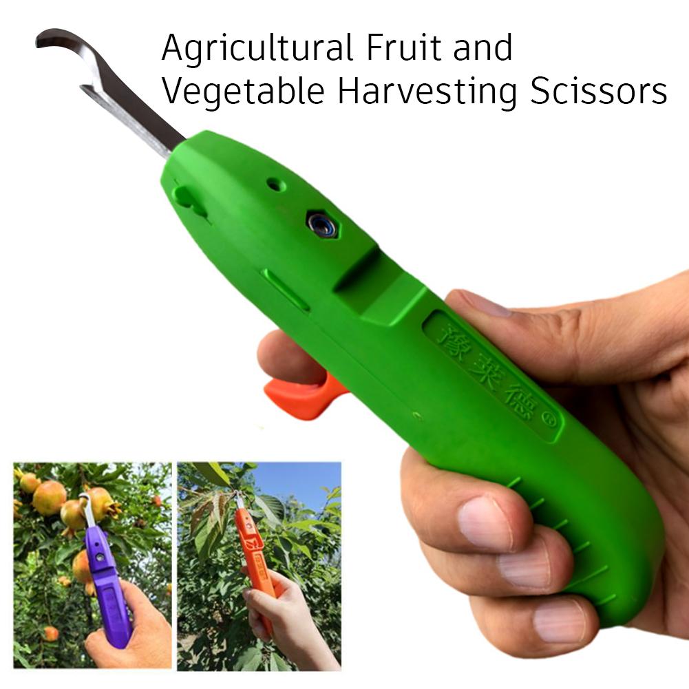 أداة يدوية لقطف التوت، مقص حصا - مراجعة Gardening Tools Cutter وسعره