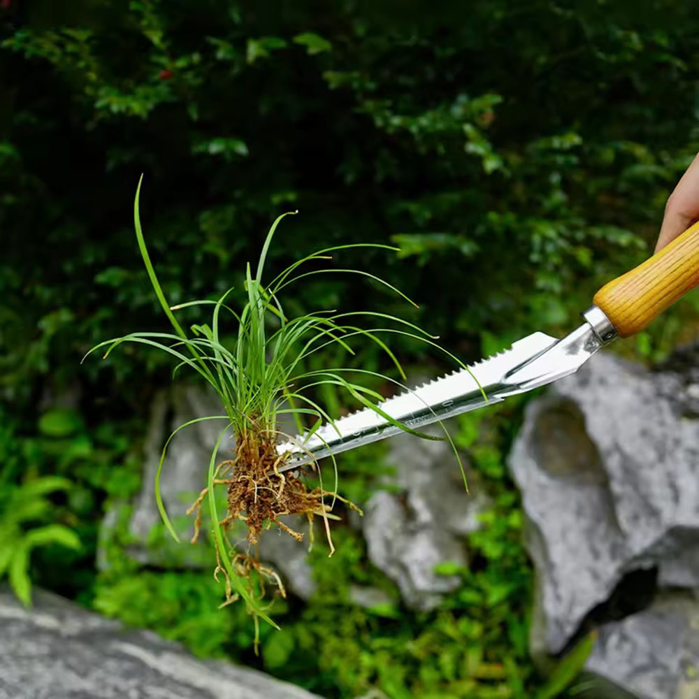 أداة إزالة الأعشاب الضارة من ا - مراجعة Gardening Tools Sharp وسعره