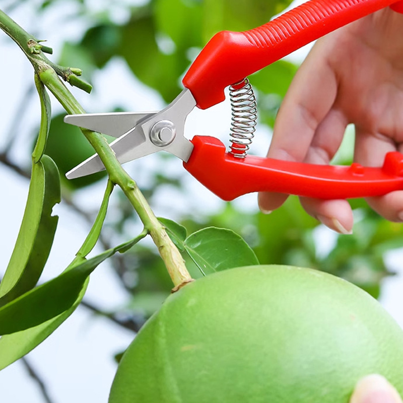 مقص تقليم أحادي اليد لتقليم ال - مراجعة Gardening Tools Sharp وسعره