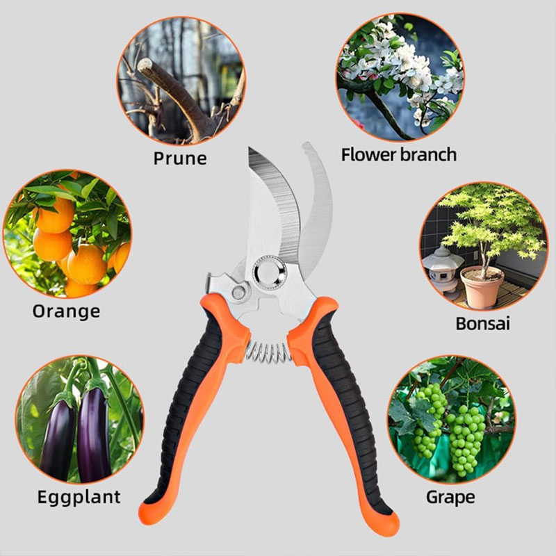 مقصات حدائق احترافية بمقبض مري - مراجعة Gardening Tools Sharp وسعره