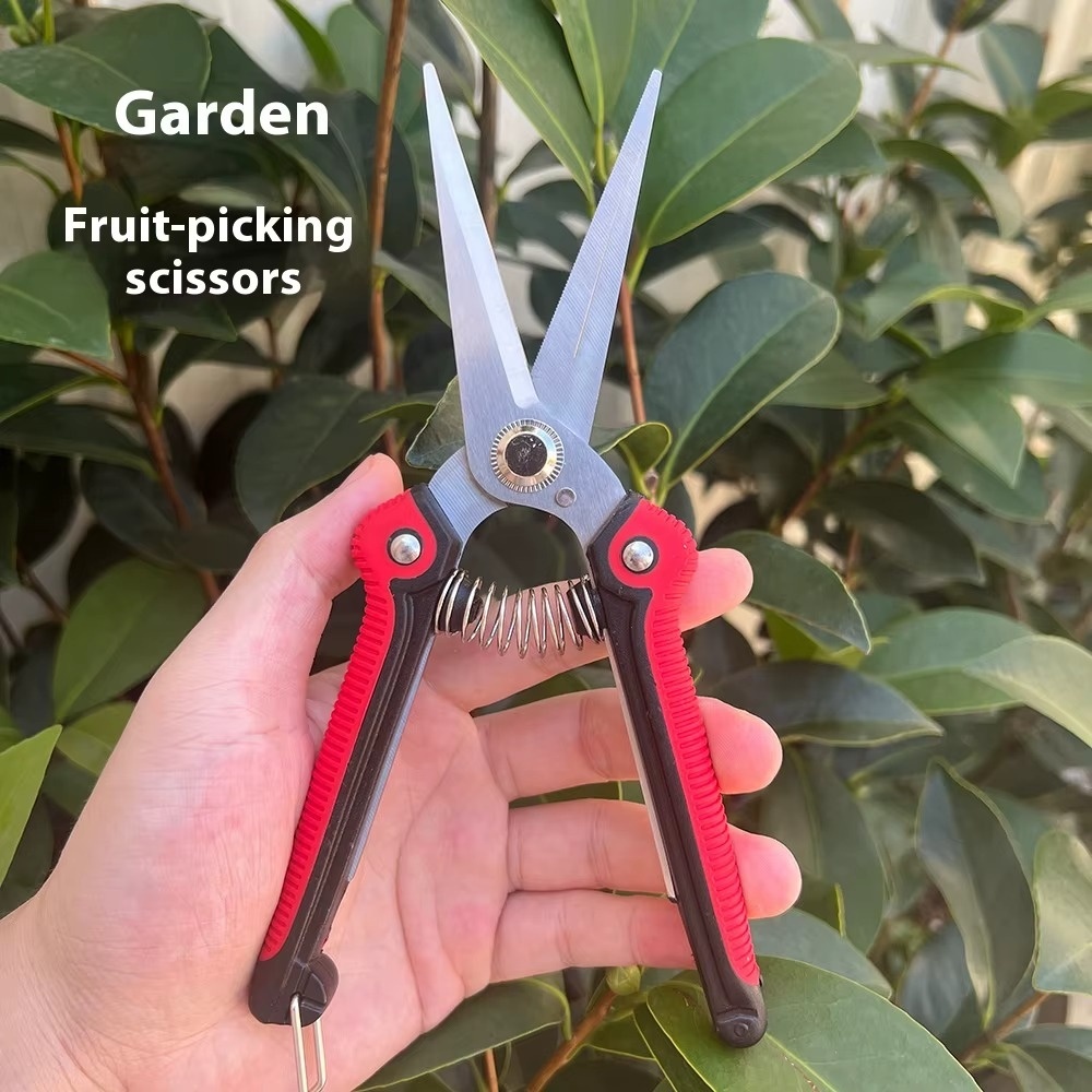 مقص أغصان احترافي حاد من الفول - مراجعة Gardening Tools Sharp وسعره