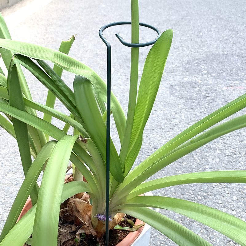 1-10 قطعة معدنية واحدة الجذعية - مراجعة Gardening Tools Kids وسعره