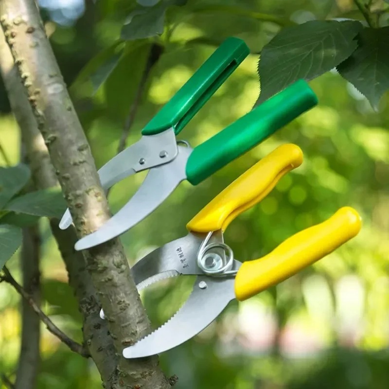 سكين تقشير وقطع حلقات الخشب ال - مراجعة Gardening Tools Sharp وسعره