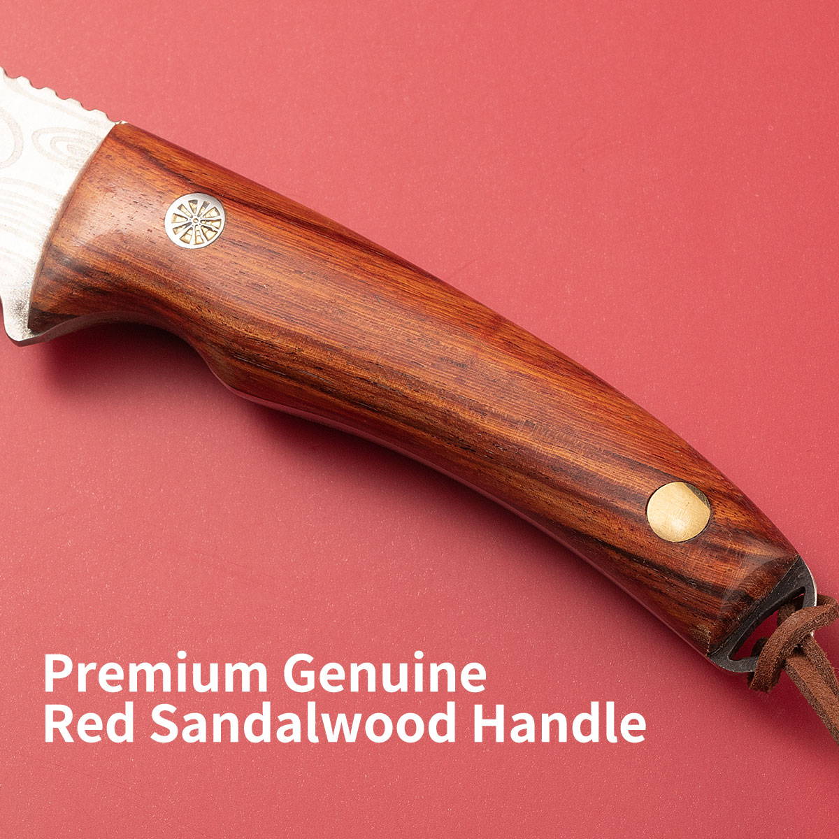 سكين تطعيم متعدد الوظائف | مصن - مراجعة Gardening Tools Knife وسعره