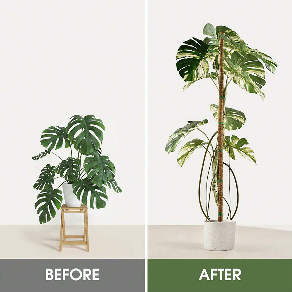 عمود طحلب للنباتات، دعامات لنب - مراجعة Gardening Tools Kids وسعره