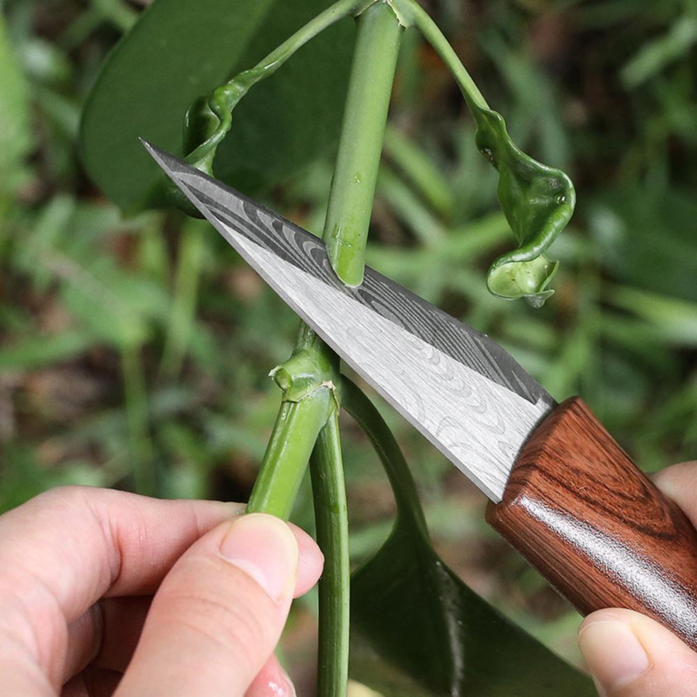 سكين تطعيم حاد بمقبض خشبي وغمد - مراجعة Gardening Tools Sharp وسعره