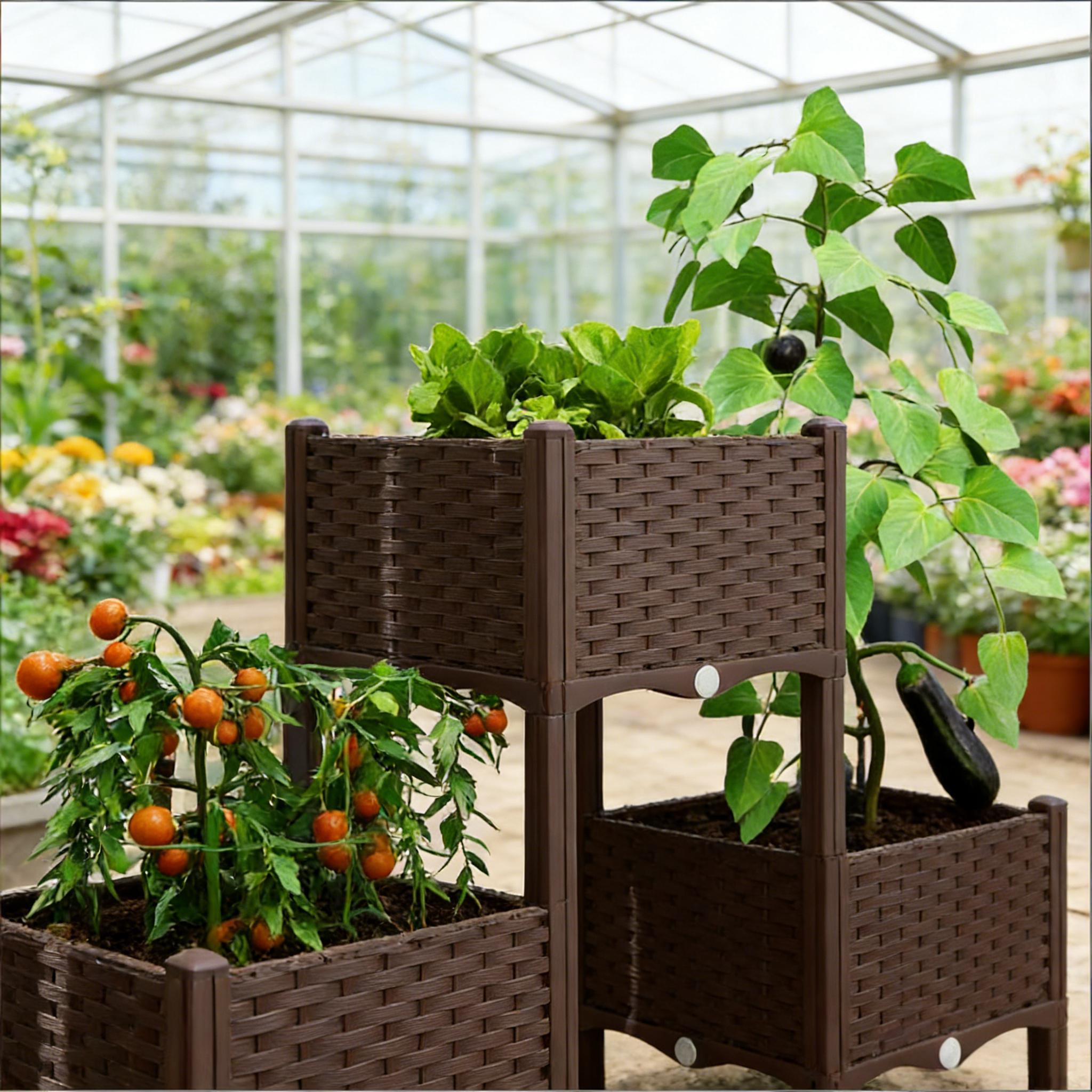 أحواض زراعة مرتفعة، أحواض زراع - مراجعة Raised Bed Planter Box وسعره